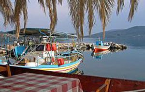 IGFA Lesvos Rent a Car